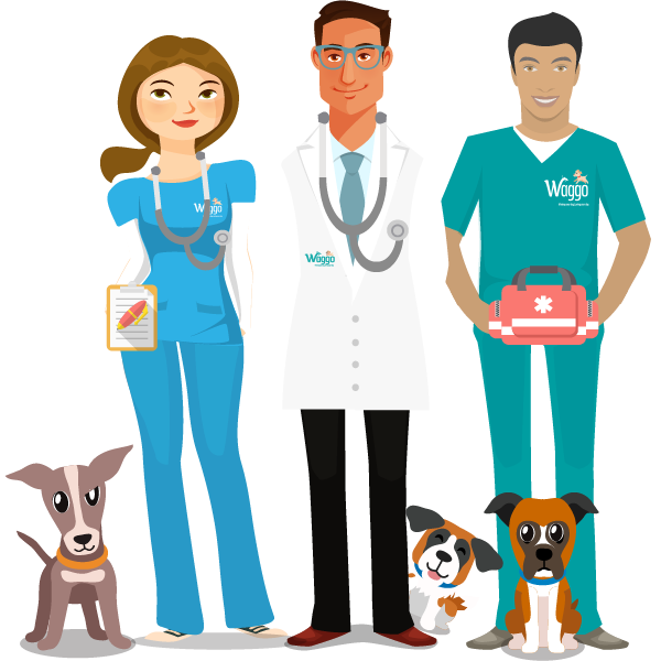 Pet concierge