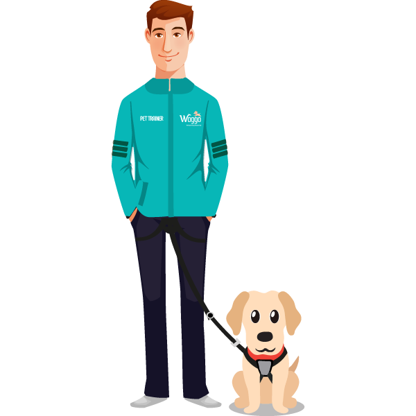 Pet Trainer